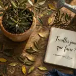 olivier feuille jaune sur table avec outils de jardinage